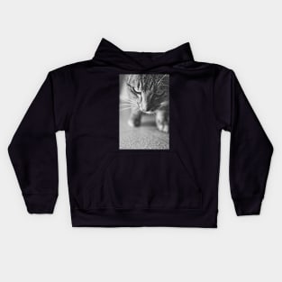 Time to pounce Kids Hoodie